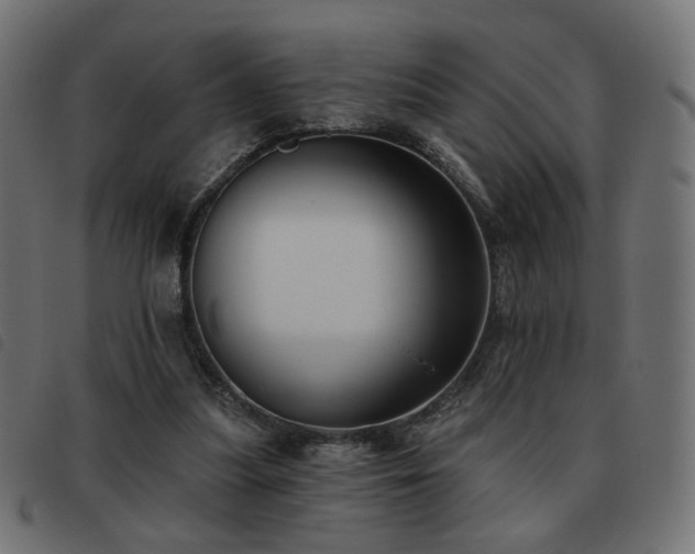 X0000093480251200710121451