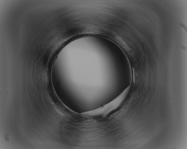 X0000093480252200710121452