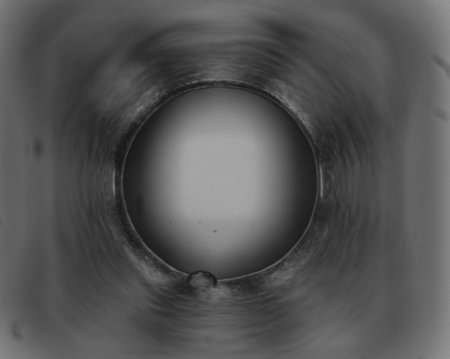 X0000093480253200710121452