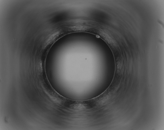 X0000093480254200710121452