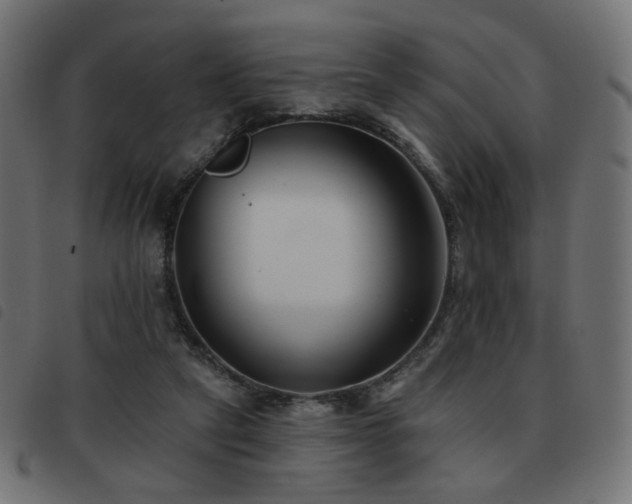X0000093480257200710121452