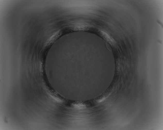 X0000093480258200710121452