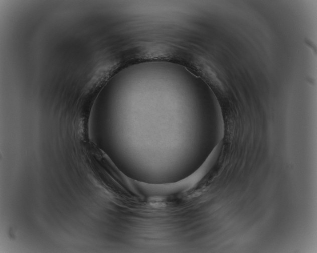 X0000093480260200710121452