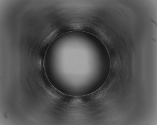 X0000093480262200710121452