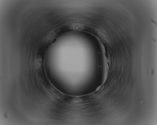 X0000093480263200710121452