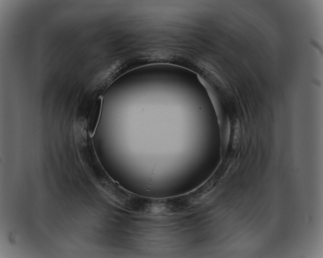 X0000093480264200710121452