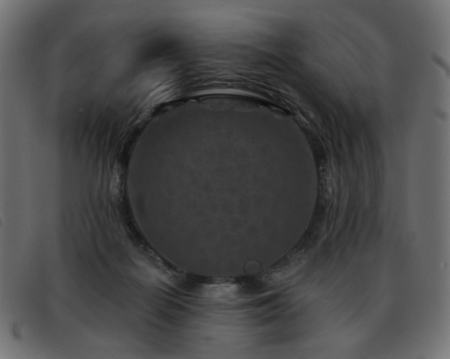 X0000093480266200710121452