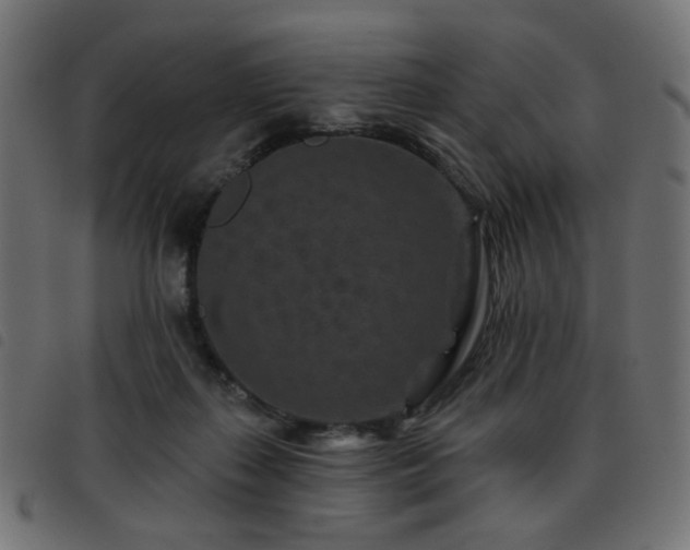 X0000093480267200710121452