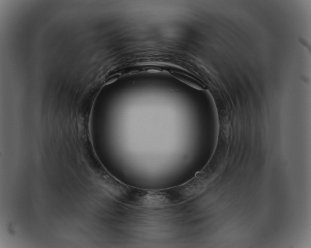 X0000093480270200710121452