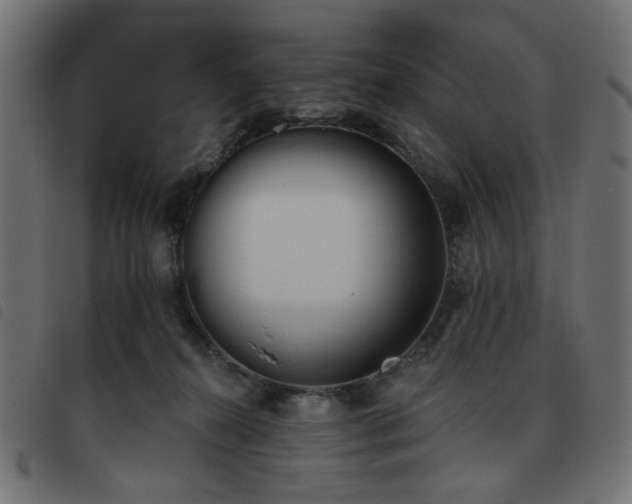 X0000093480272200710121452