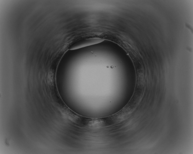 X0000093480274200710121452
