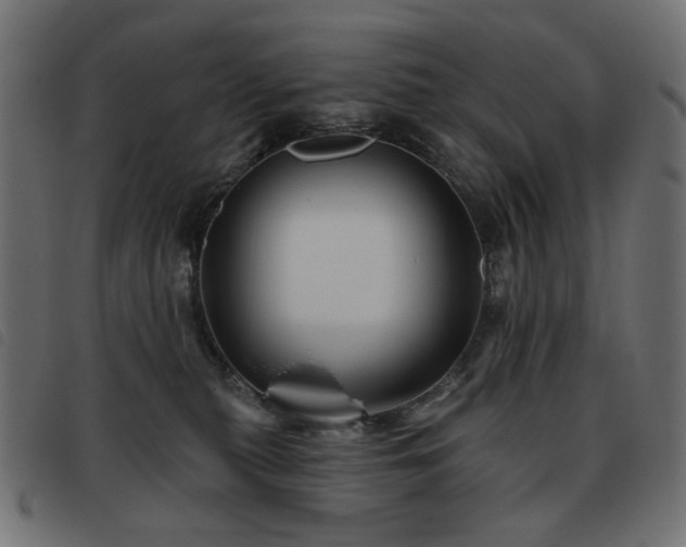 X0000093480279200710121452