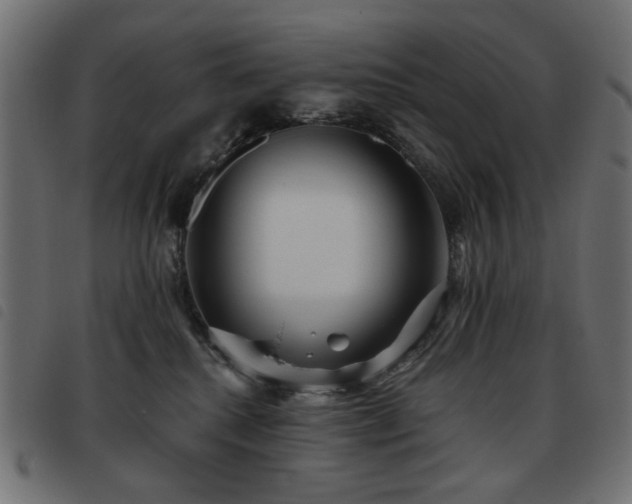 X0000093480280200710121452