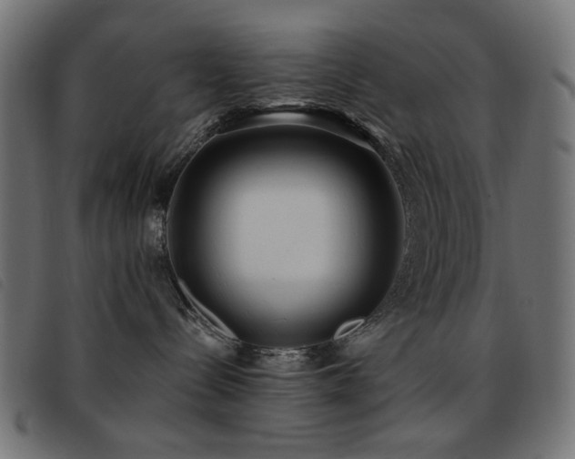 X0000093480288200710121452