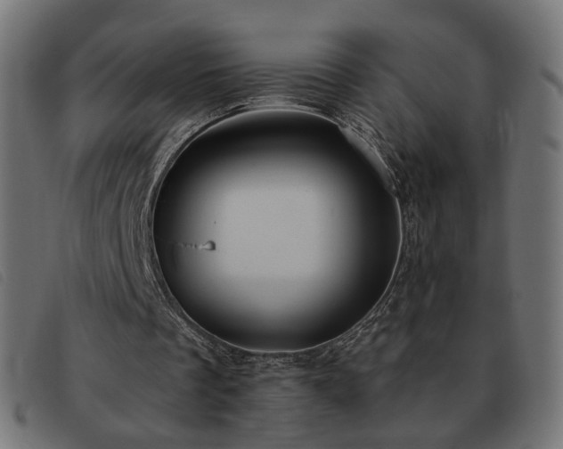 X0000093480289200710121451