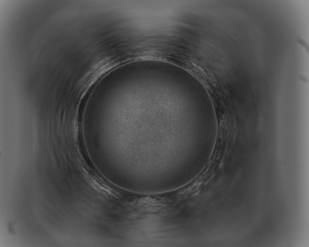 X0000093480290200710121451