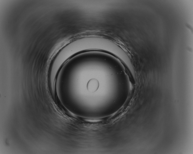 X0000093480293200710121451