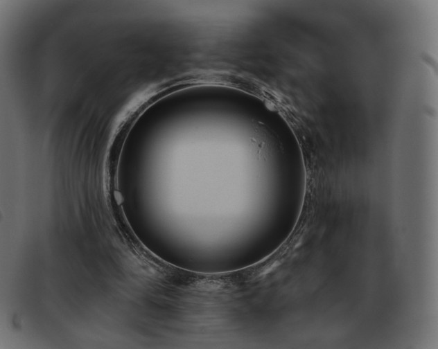 X0000093480294200710121451