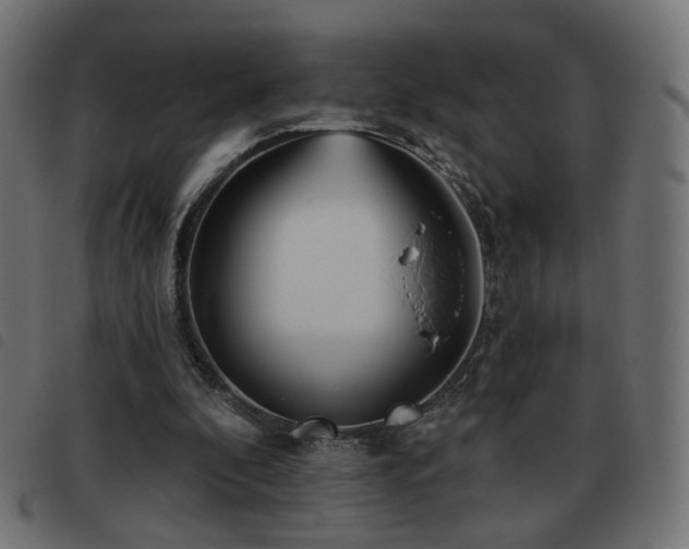 X0000093480296200710121451
