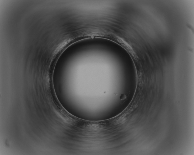 X0000093480298200710121451