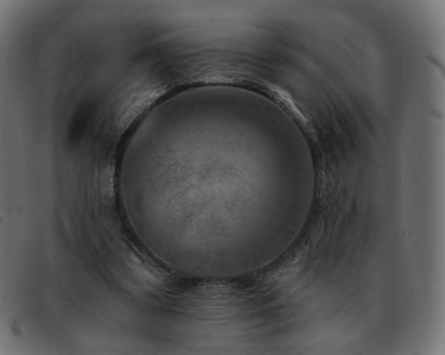 X0000093480299200710121451