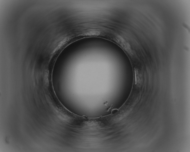 X0000093480300200710121451