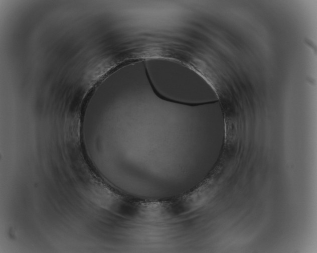 X0000093480301200710121451