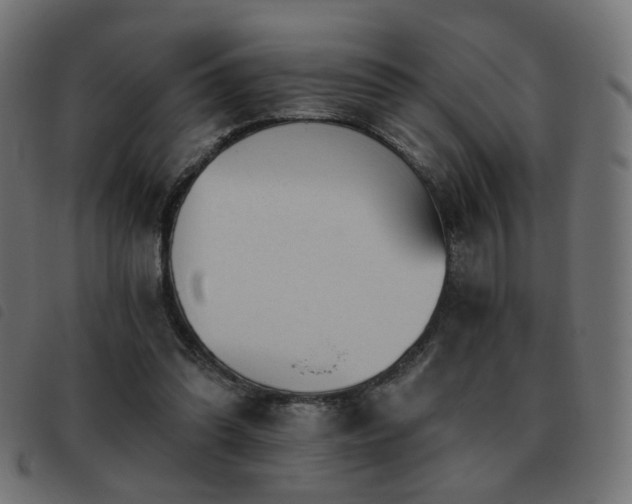 X0000093480302200710121451