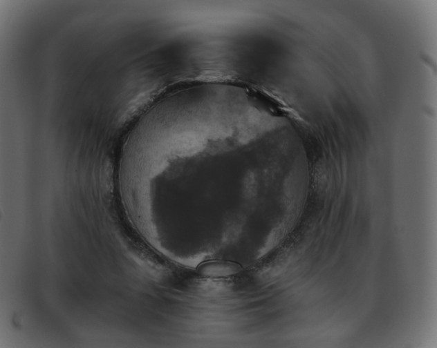 X0000093480303200710121451