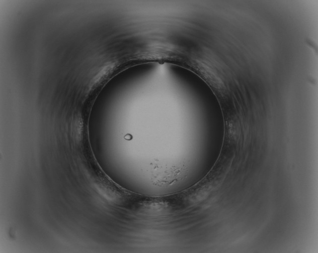 X0000093480304200710121451