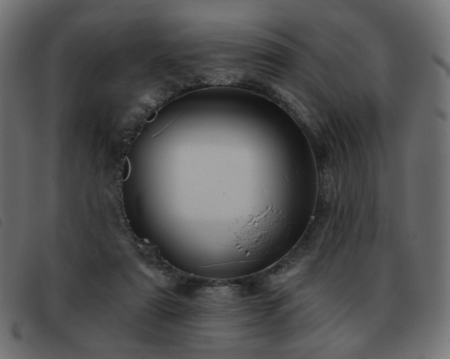 X0000093480307200710121451