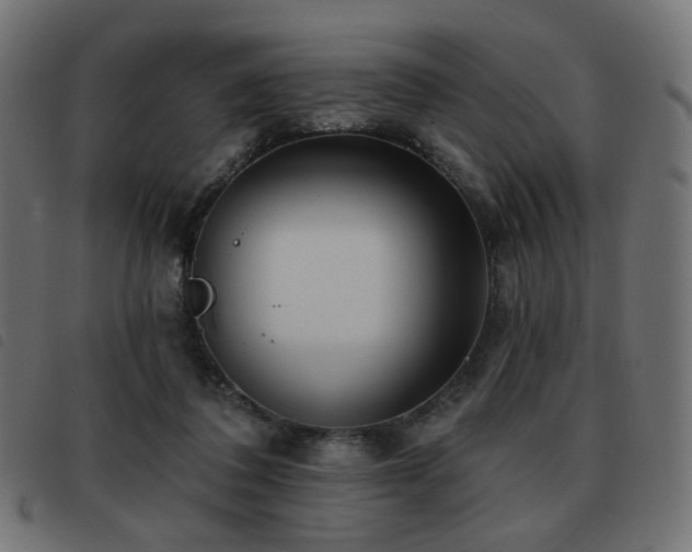 X0000093480308200710121451