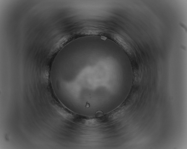 X0000093480309200710121451
