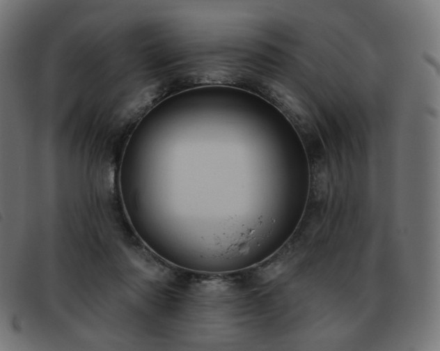 X0000093480310200710121451