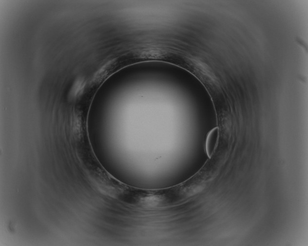 X0000093480312200710121451