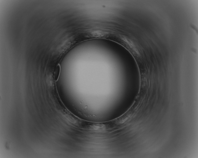 X0000093480317200710121451