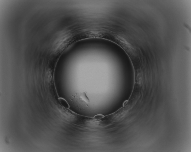X0000093480318200710121451