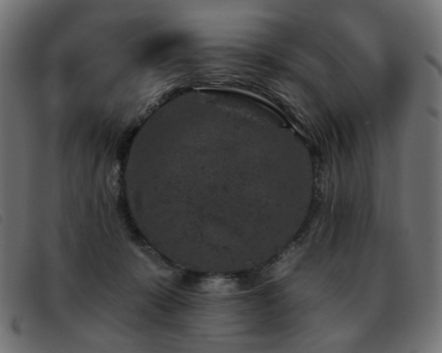 X0000093480319200710121451