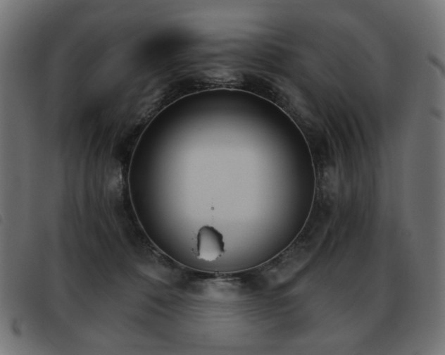X0000093480320200710121451