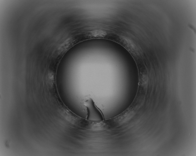 X0000093480321200710121451