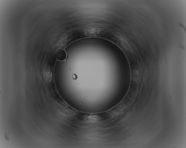 X0000093480324200710121451