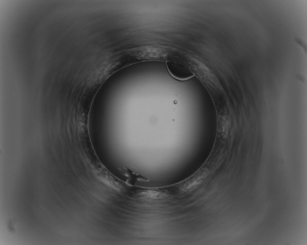 X0000093480326200710121451