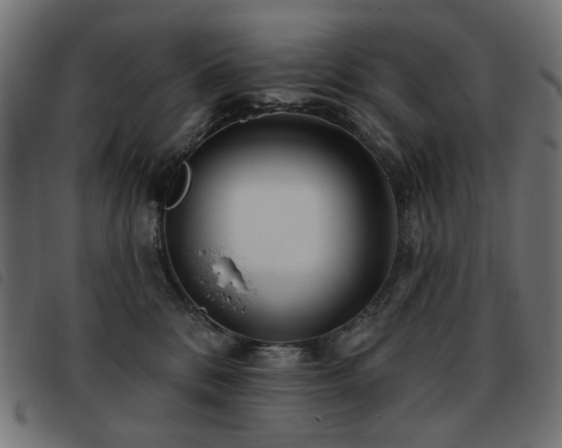 X0000093480328200710121451