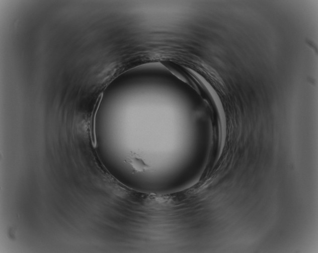 X0000093480329200710121451