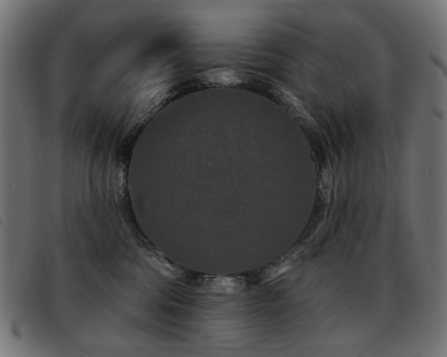 X0000093480330200710121451