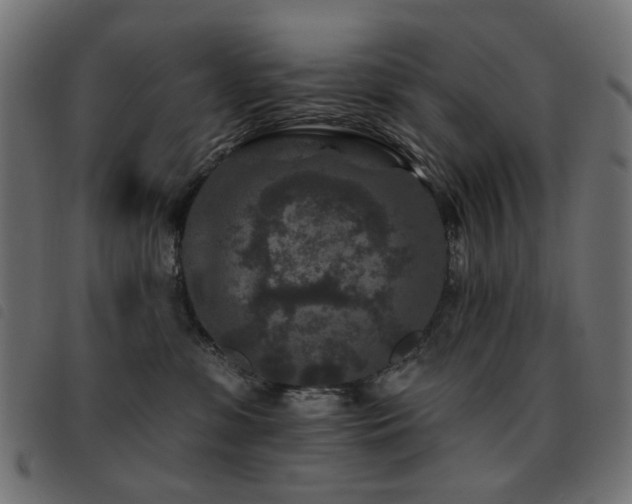 X0000093480331200710121451