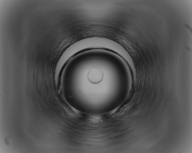 X0000093480333200710121451