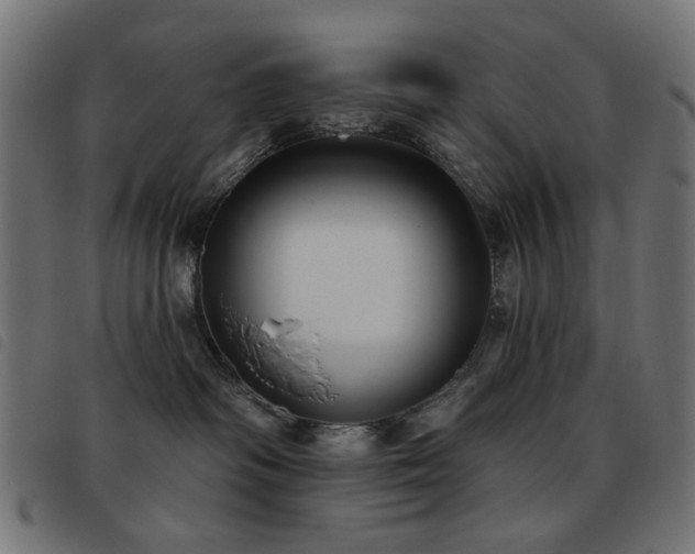 X0000093480334200710121451
