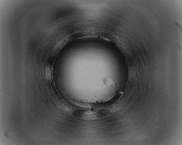 X0000093480335200710121451