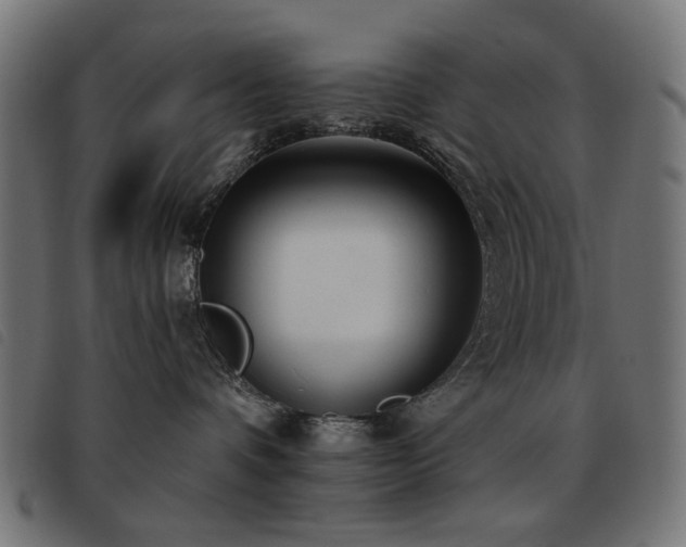 X0000093480336200710121451